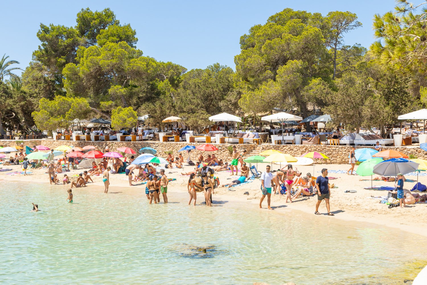 Cala Bassa Beach Club - playa de aguas turquesas en Ibiza